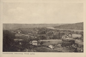 Zaleszczyki panorama - Reprodukcja 10885