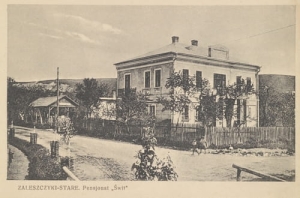 Zaleszczyki pensjonat Świt-Reprodukcja 10888