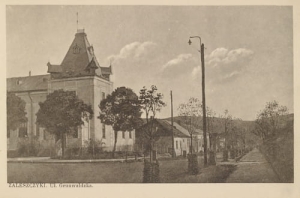 Zaleszczyki ul. Grunwaldzka -Reprodukcja 10890