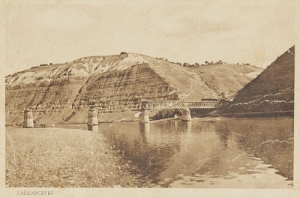 Zaleszczyki most -Reprodukcja 10894