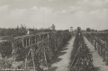 nowe-10901.jpg