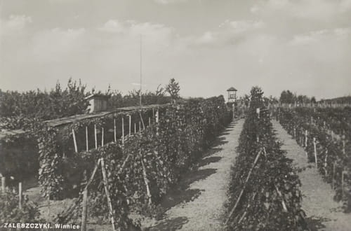 nowe-10901.jpg