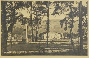 Zaleszczyki park -Reprodukcja 10908