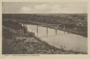 Zaleszczyki widok -Reprodukcja 10953