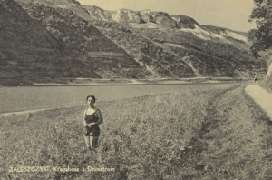 Zaleszczyki nad Dniestrem -Reprodukcja 10960