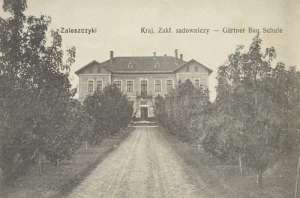 Zaleszczyki Zakł. Sadowniczy-Reprodukcja 10961