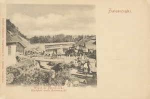 Zaleszczyki wjazd -Reprodukcja 10966