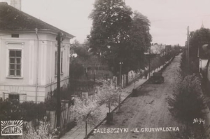 Zaleszczyki ul. Grunwaldzka -Reprodukcja 10979