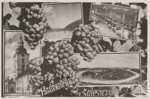 Zaleszczyki widokowa -Reprodukcja 10981