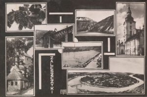 Zaleszczyki widokowa -Reprodukcja 10982