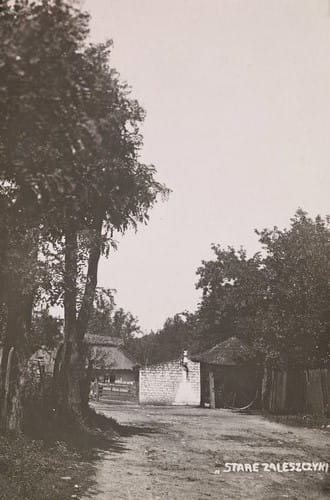 nowe-10987.jpg