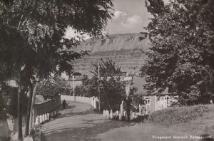 Zaleszczyki -Reprodukcja 10988