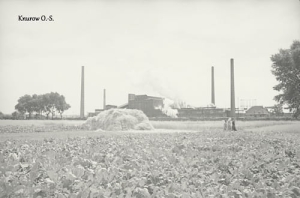 Knurów Zakł. Przemysłowe - Reprodukcja 10994