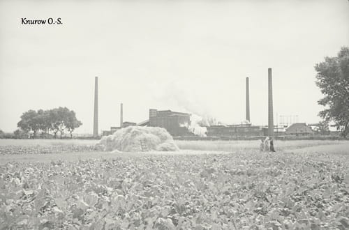 nowe-10994.jpg