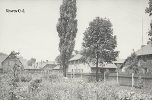 Knurów - Reprodukcja 10996
