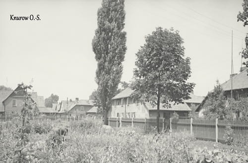 nowe-10996.jpg