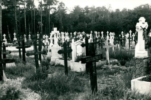 Jastarnia Cmentarz - Reprodukcja 1520