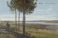nowe-11047.jpg