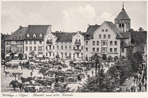 nowe-11088.jpg