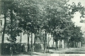 nowe-11112.jpg