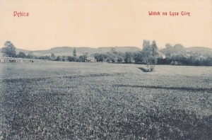 Dębica panorama -Reprodukcja 11151