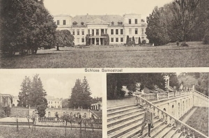 Samostrzel Pałac -Reprodukcja 11156