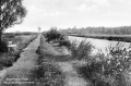 nowe-11171.jpg