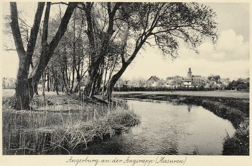 nowe-11176.jpg