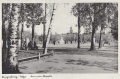 nowe-11187.jpg
