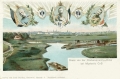 nowe-11236.jpg