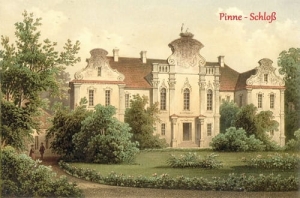 Pniewy Pałac -Reprodukcja 11316