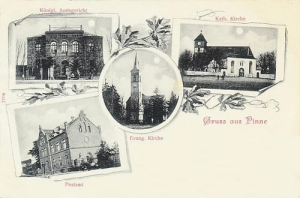 Pniewy widokowa -Reprodukcja 11329