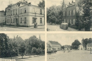 Pniewy widokowa -Reprodukcja 11331