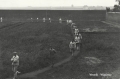 nowe-11340.jpg