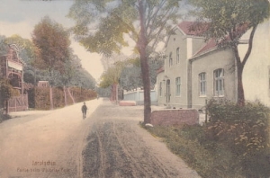 Jarocin Viktoria Park -Reprodukcja 11451