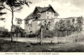 nowe-11465.jpg