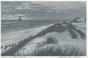 Łeba plaża -Reprodukcja 11473
