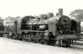 nowe-11500.jpg
