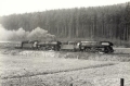 nowe-11504.jpg