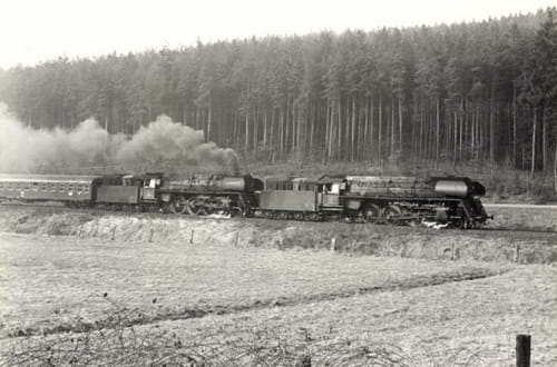 nowe-11504.jpg