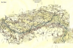 Brzeg Dolny mapka - Reprodukcja 15356