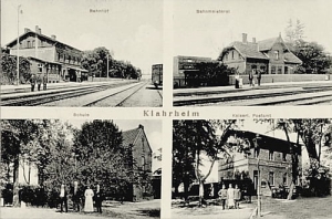 Kotomierz widokowa - Reprodukcja 11523