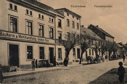 nowe-11550.jpg
