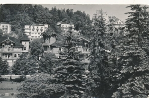 Krynica  01967
