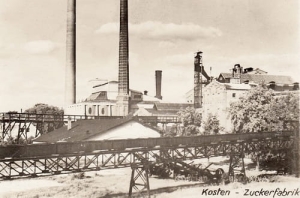 Kościan Cukrownia -Reprodukcja 11557