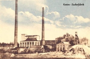 Kościan Cukrownia -Reprodukcja 11559