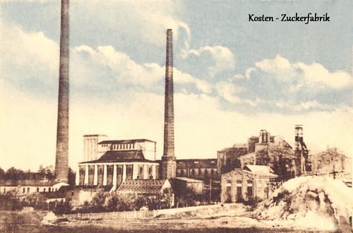 nowe-11559.jpg