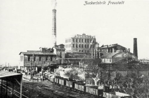Wschowa Cukrownia - Reprodukcja 11677