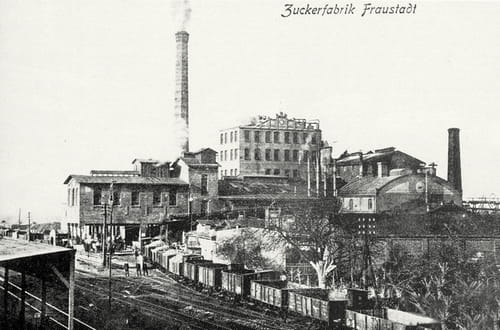 nowe-11677.jpg
