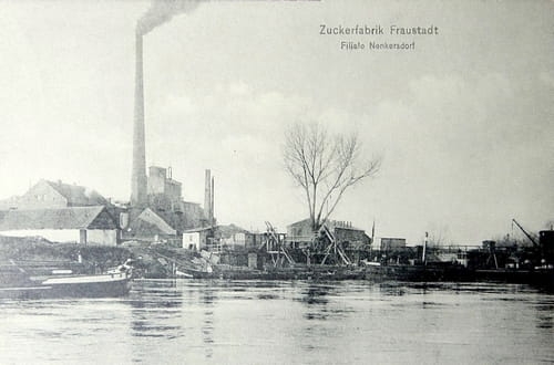 nowe-11679.jpg